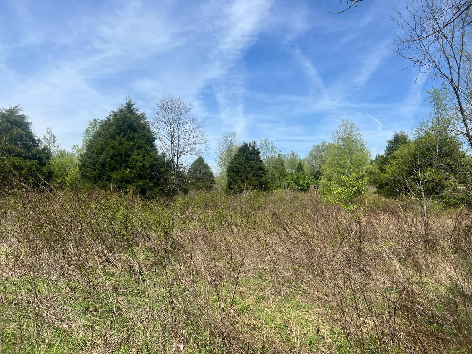 110+ Acres Vacant Land