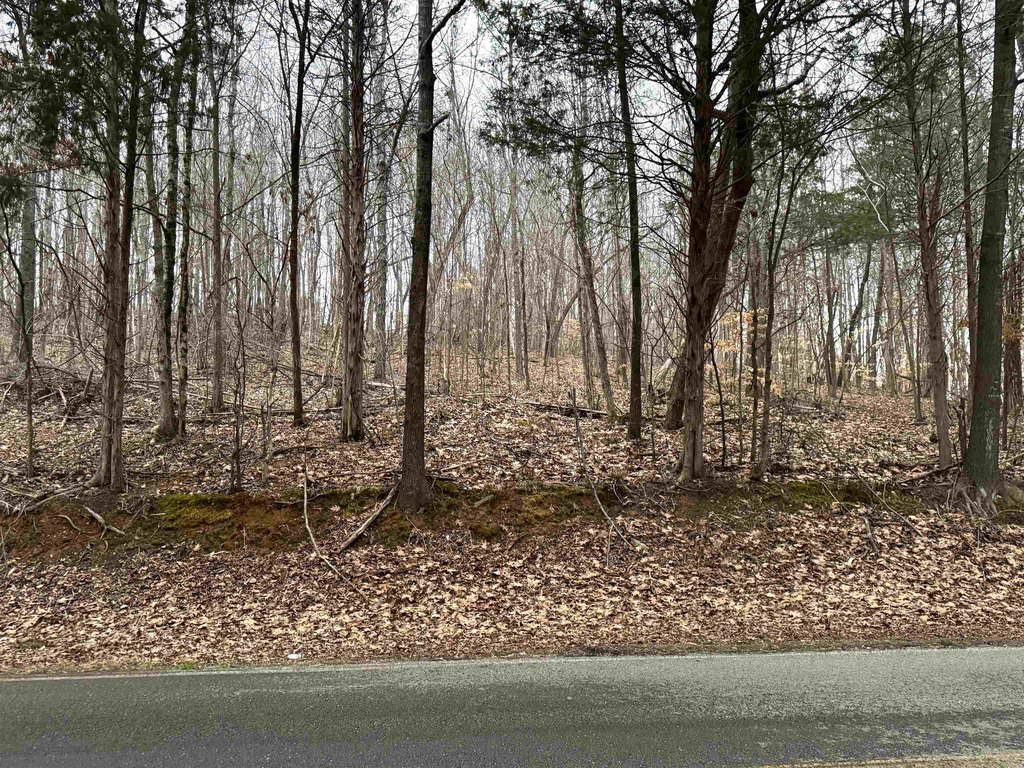 Picture 3