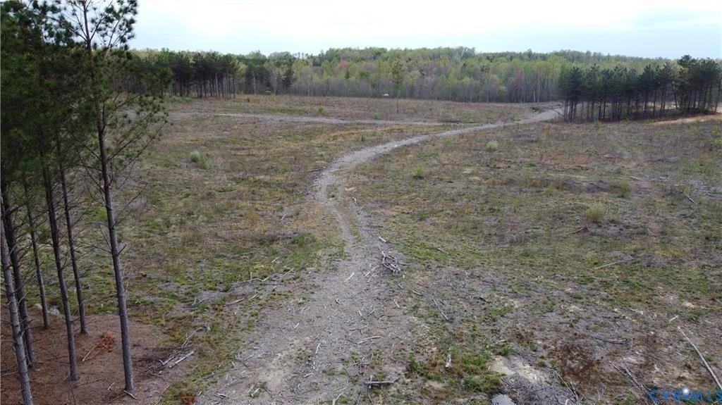 Picture 3