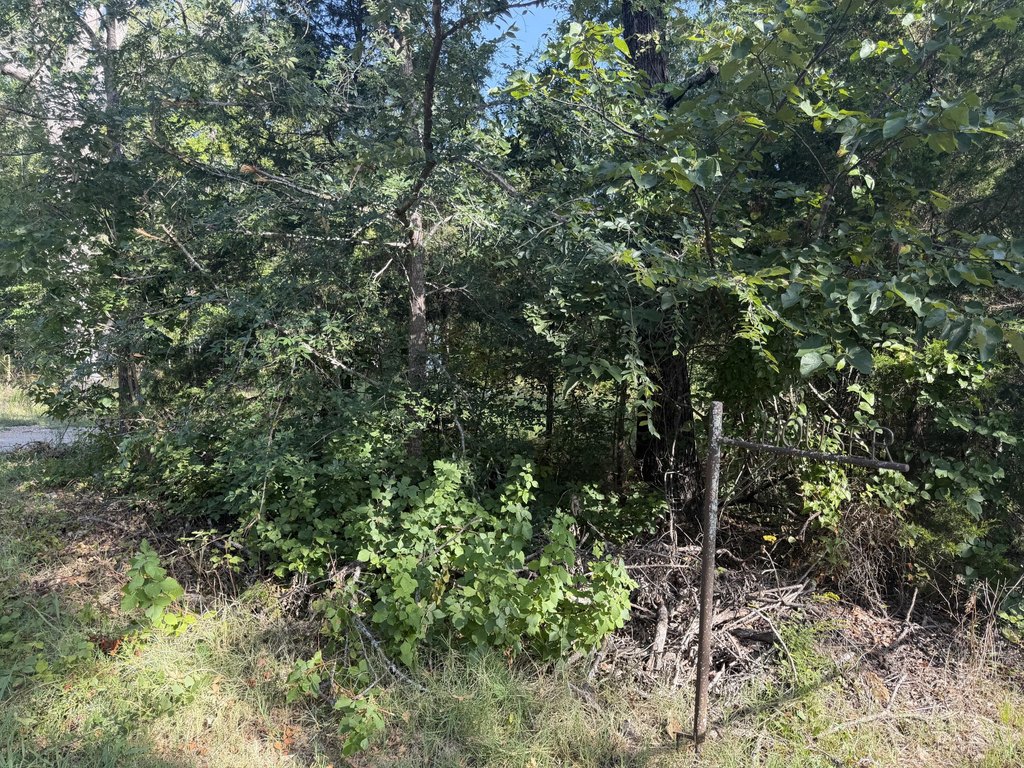 Picture 6
