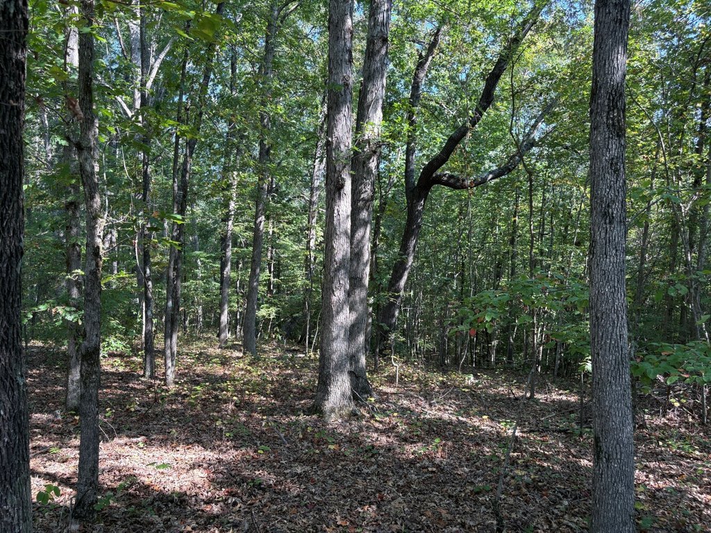 Picture 3