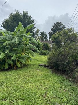 Land, North Charleston, SC