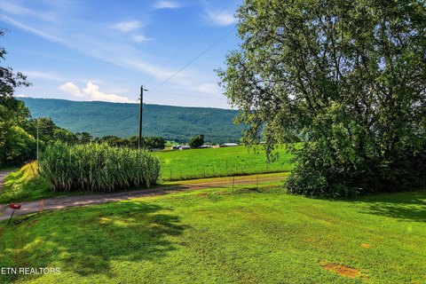Lots & Acreage, Etowah, TN