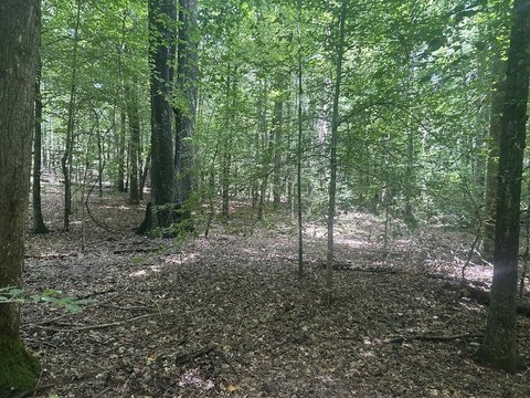 Waterfront Residential Land Tract