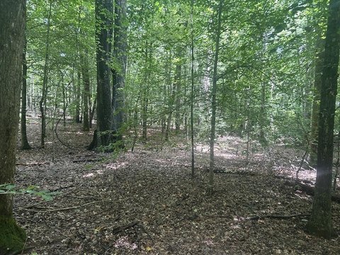 Waterfront Residential Land Tract