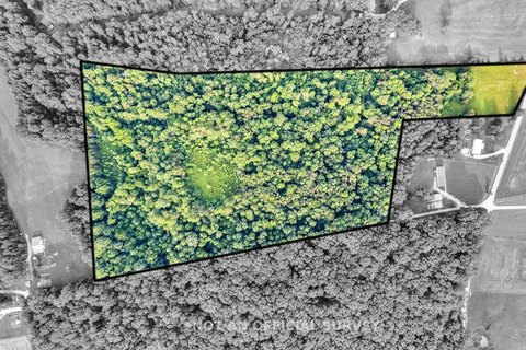 Unrestricted Land with Creek, Sparta