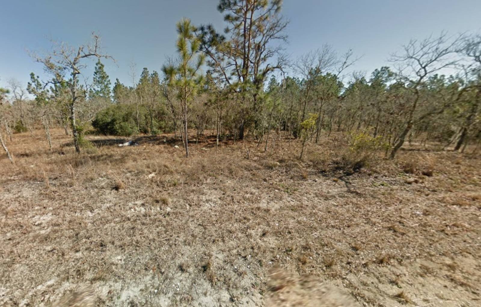 Williston, FL Vacant Land Parcel