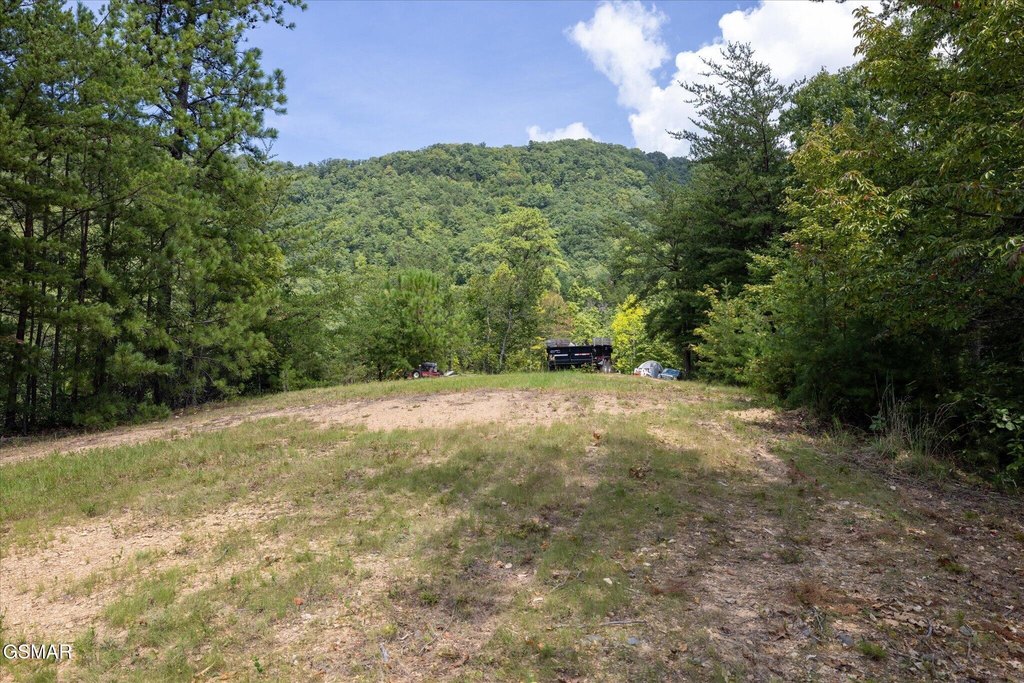 Picture 11
