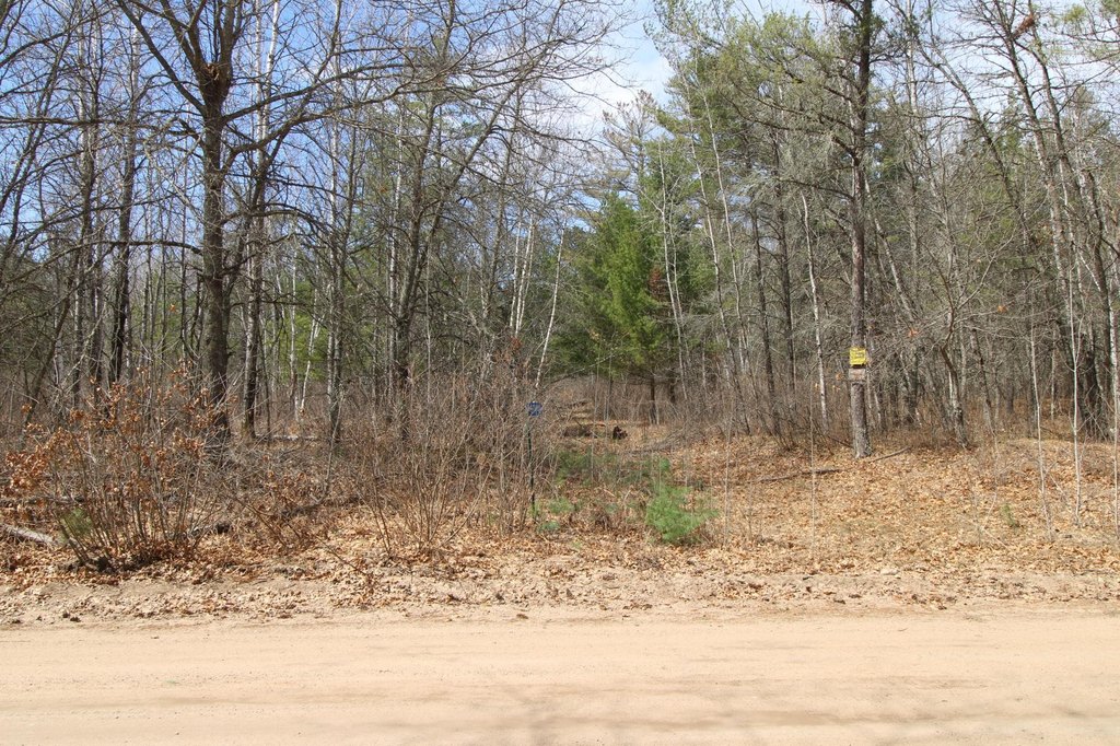 Picture 7