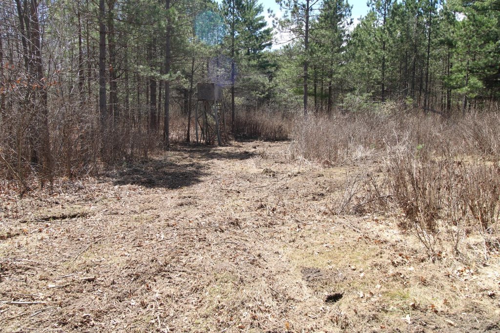 Picture 2