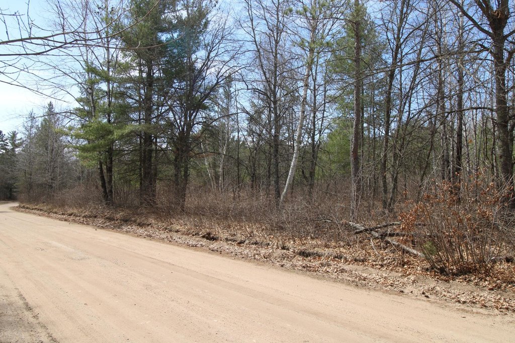 Picture 8