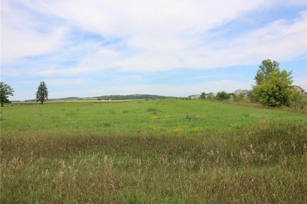 Picture 19