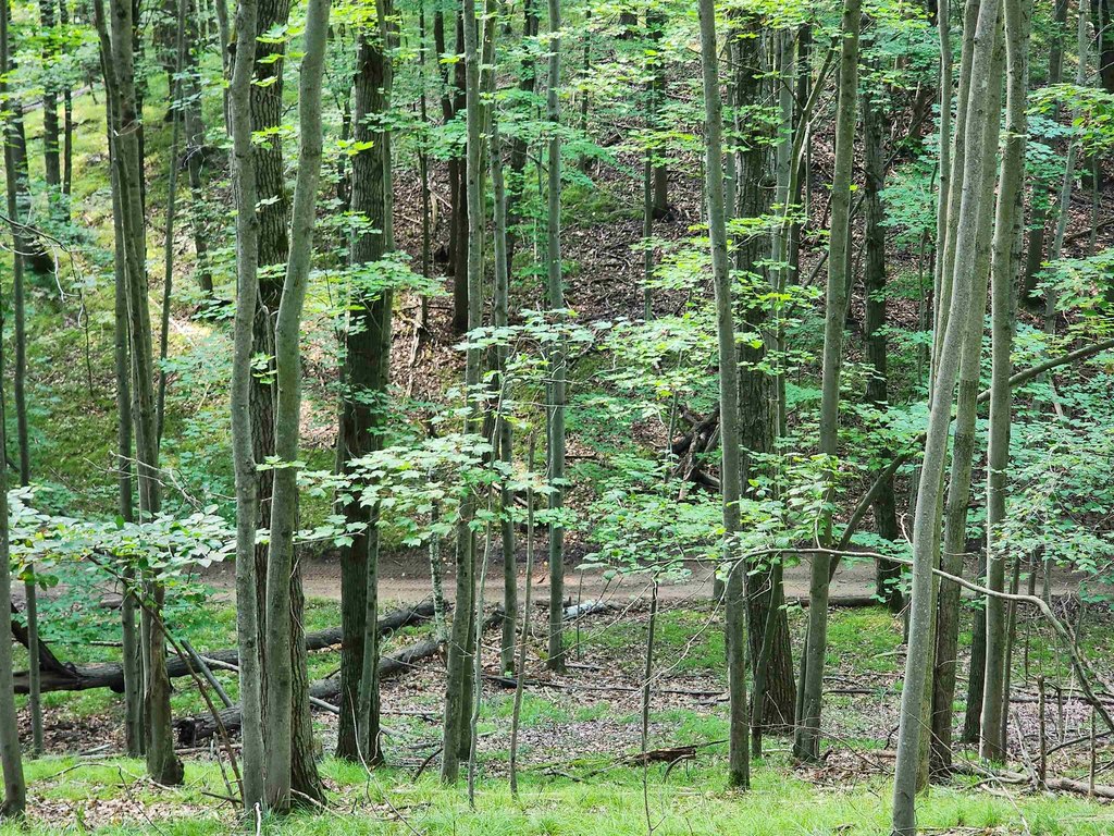 Picture 6