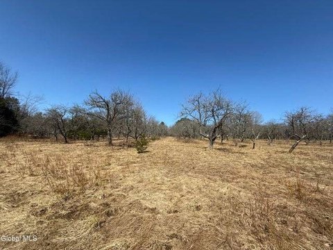 Galway Vacant Land with Orchard