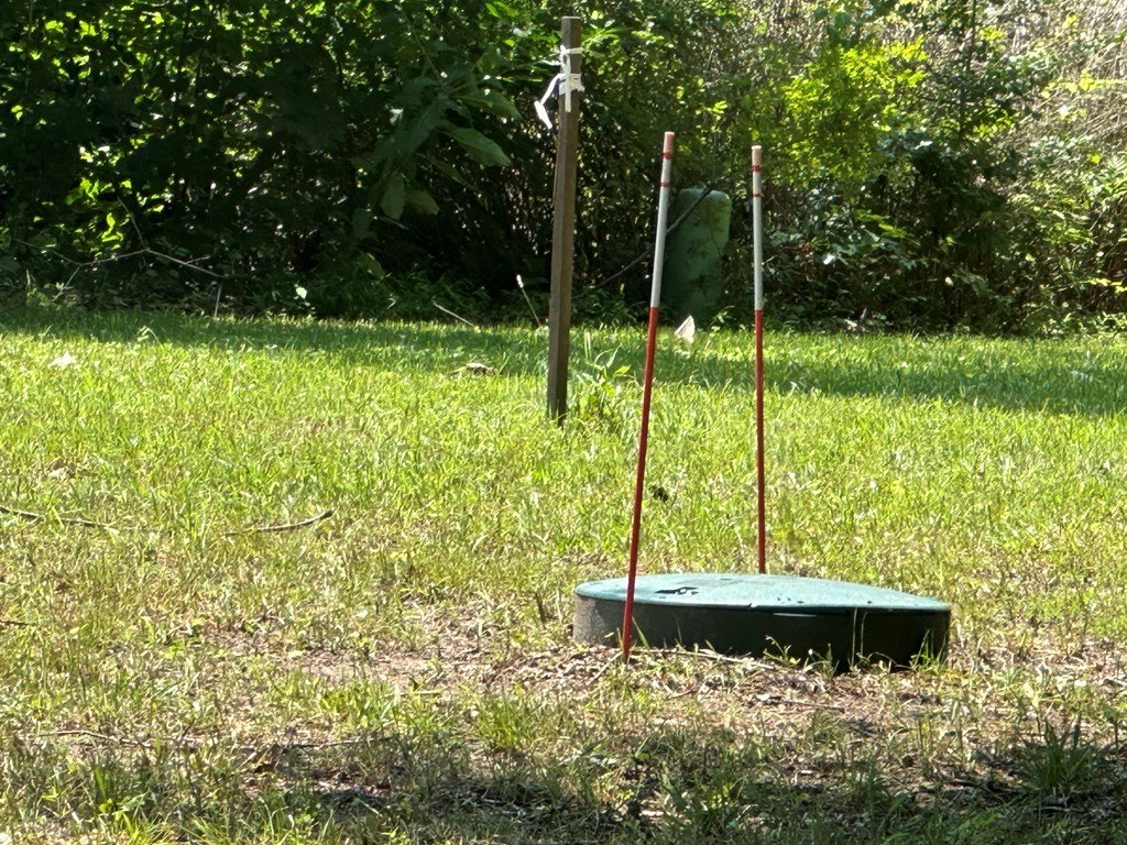 Picture 11