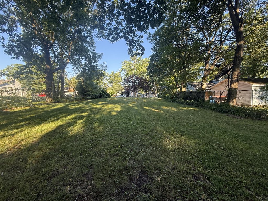 Picture 5