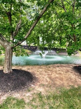 LAND - Paducah, KY