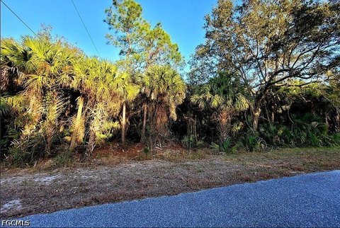 LAND - Port Charlotte, FL