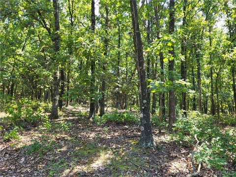 Land, Edwards, MO