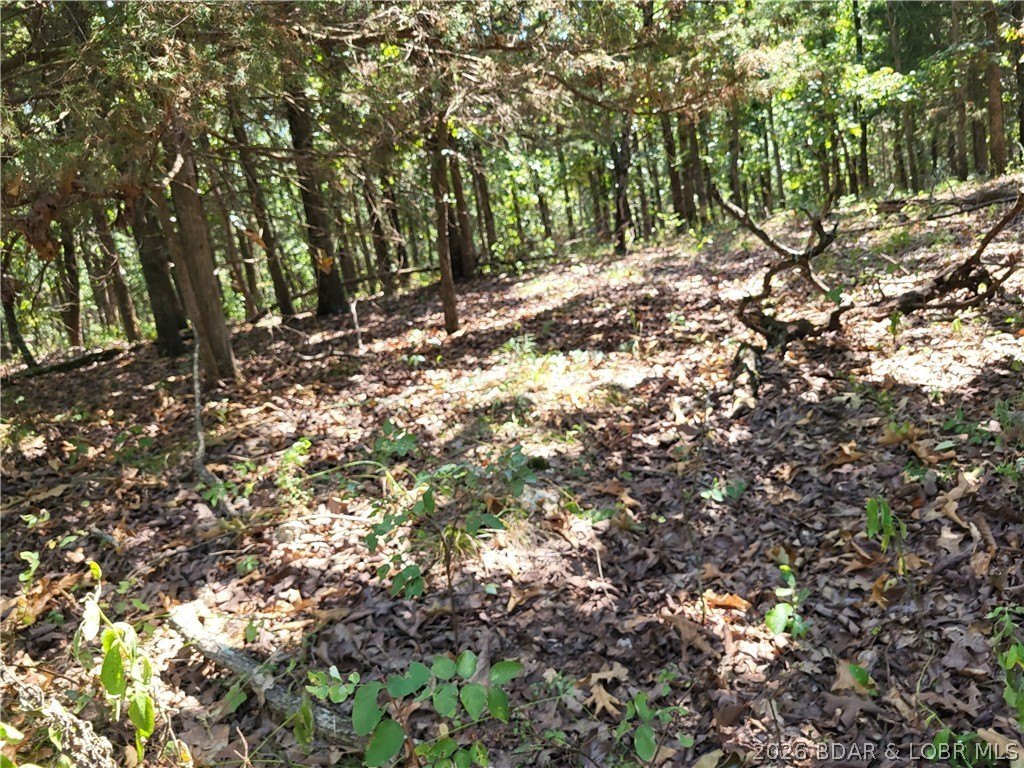 Picture 16