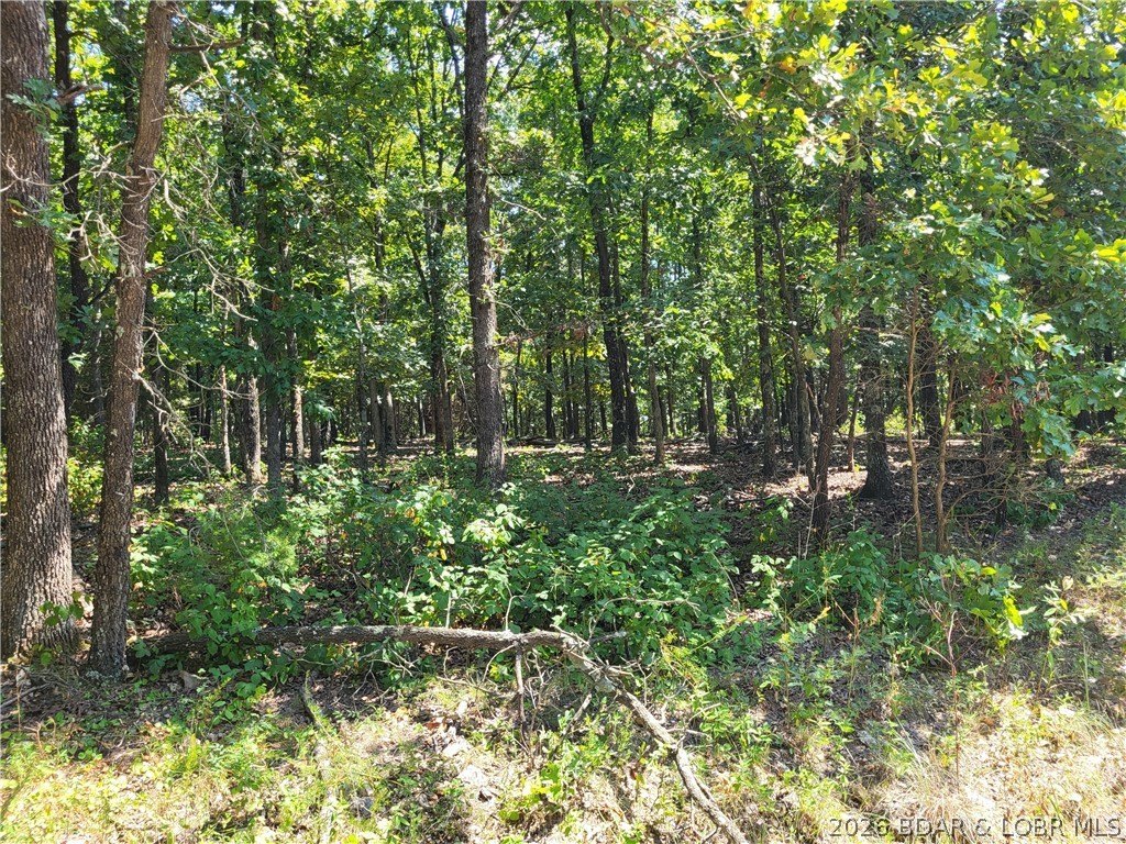 Picture 6