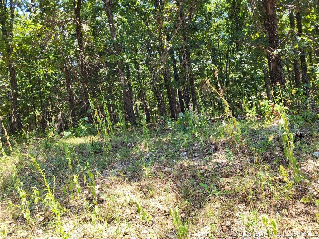 Picture 5