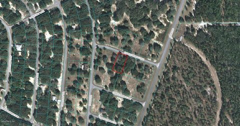 Ocklawaha Land For Sale