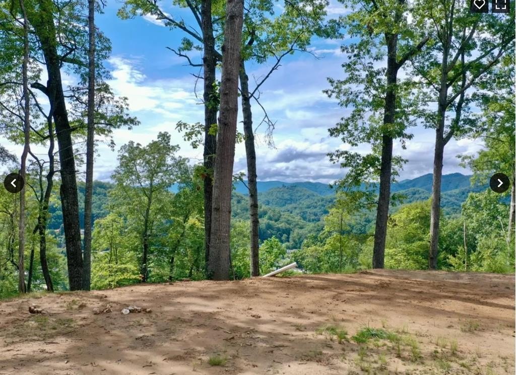 Mountain View Land in Bryson
