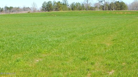 Gore Springs Land Opportunity