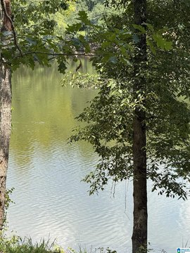 LAND/LOTS, WEDOWEE, AL