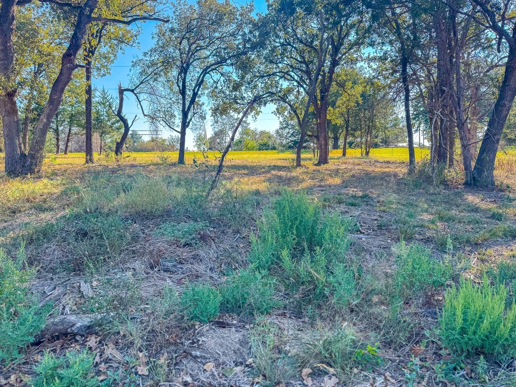 Picture 21