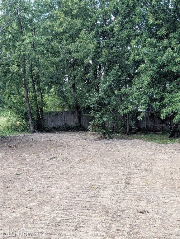 Picture 3