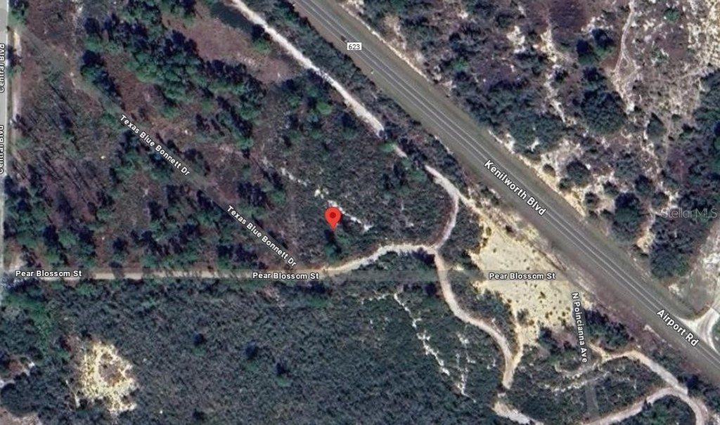 Picture 6
