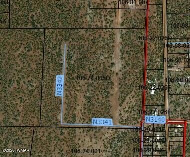 40 Acres in Vernon, Arizona