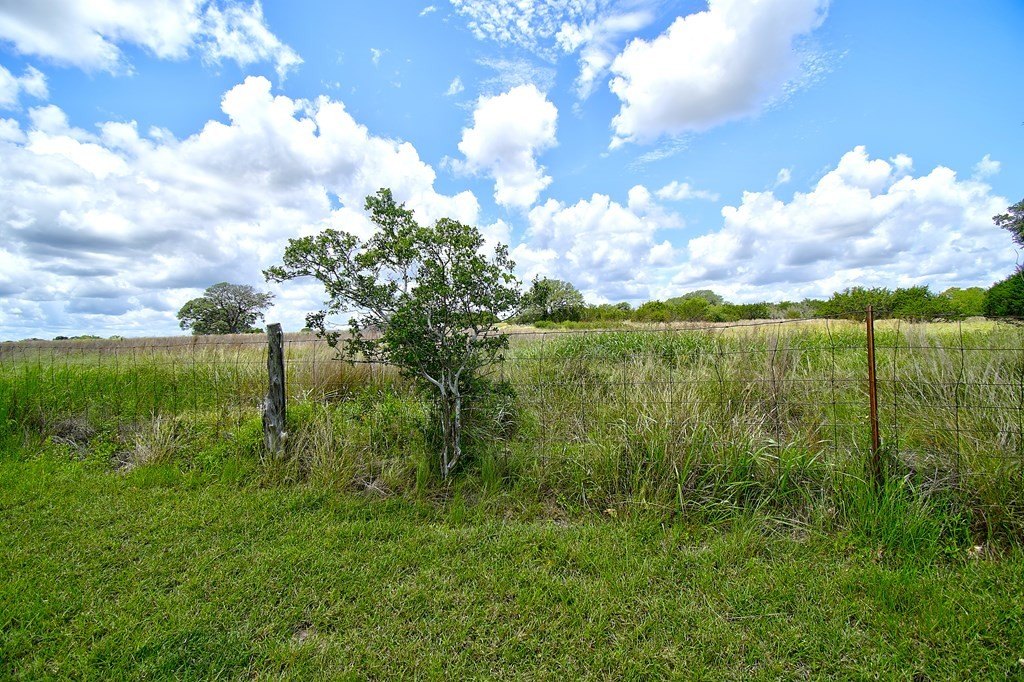 Picture 7