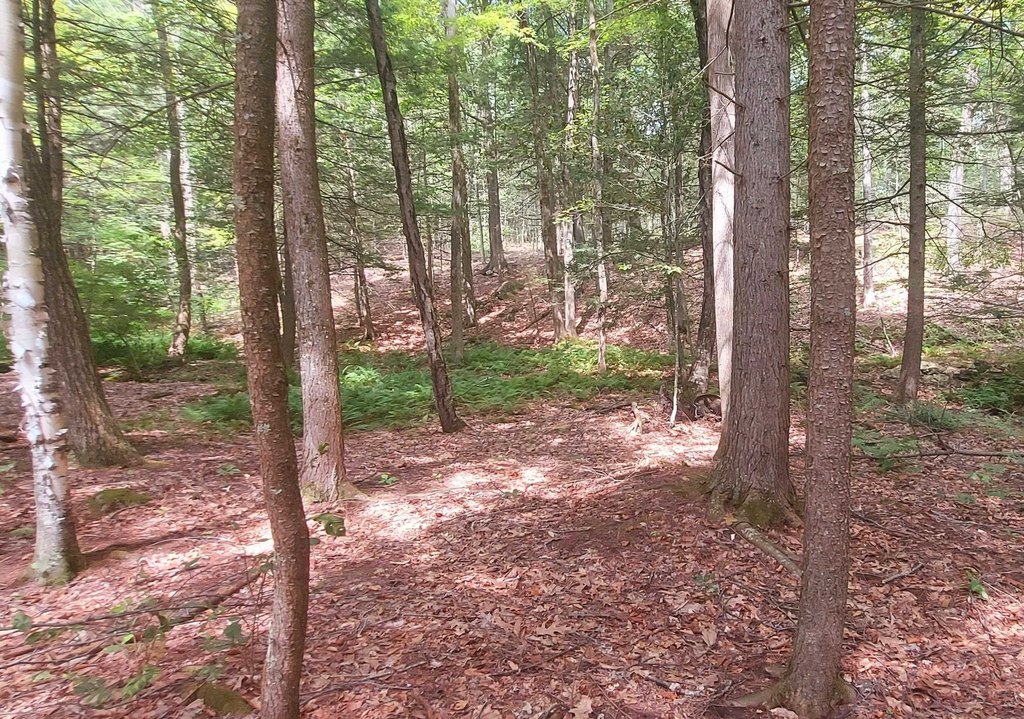 Picture 6