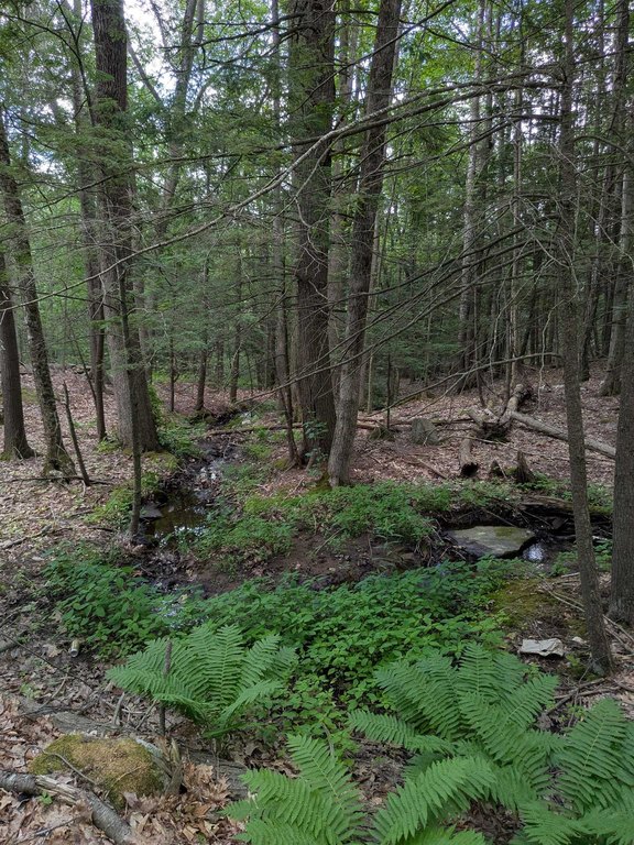 Picture 16