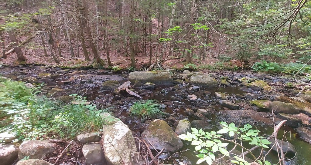 Picture 9