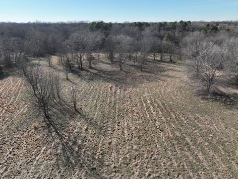 Multi-Use Recreational Timber Tract