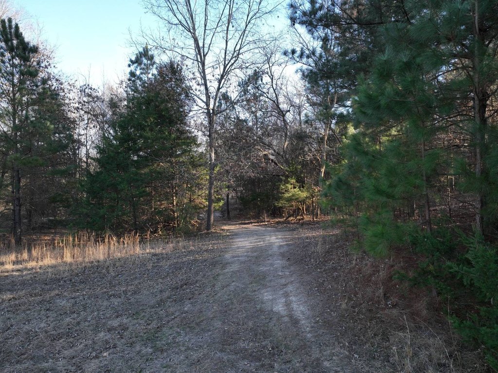 Picture 24