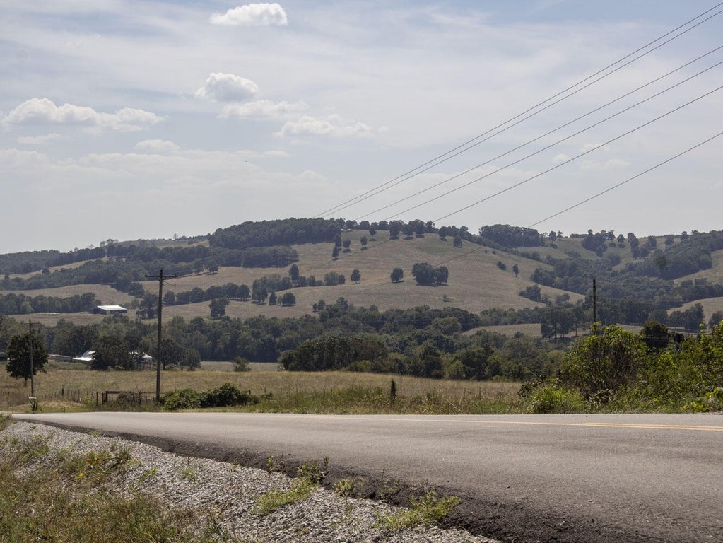 Picture 19