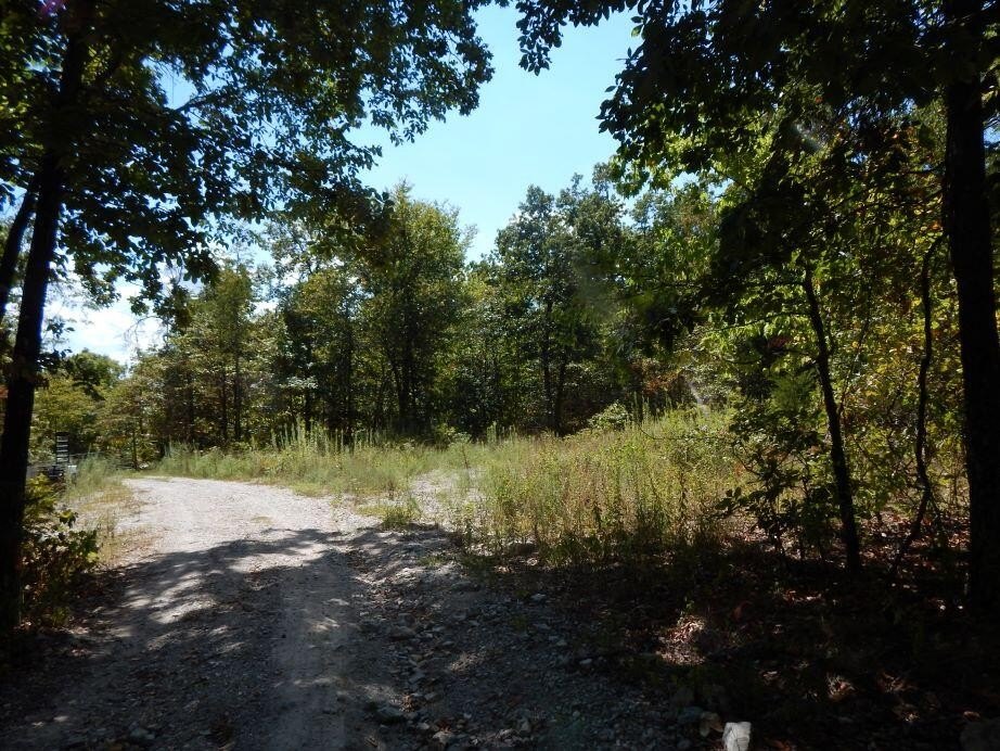 Undeveloped 5 Acres in Ava