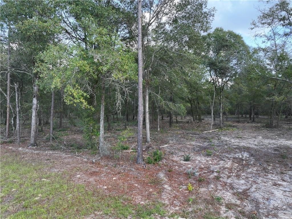 Picture 2