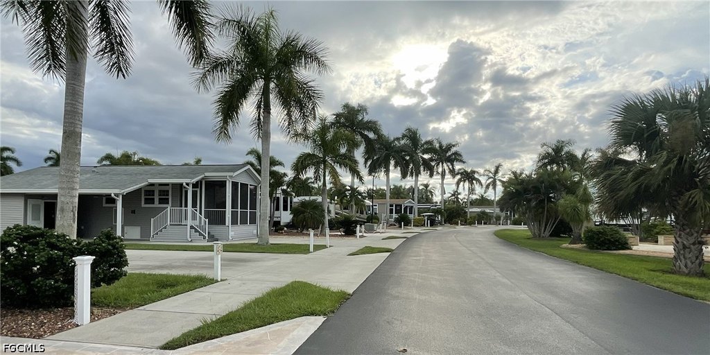 Picture 24