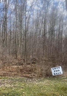 Pymatuning Lake Wooded Land