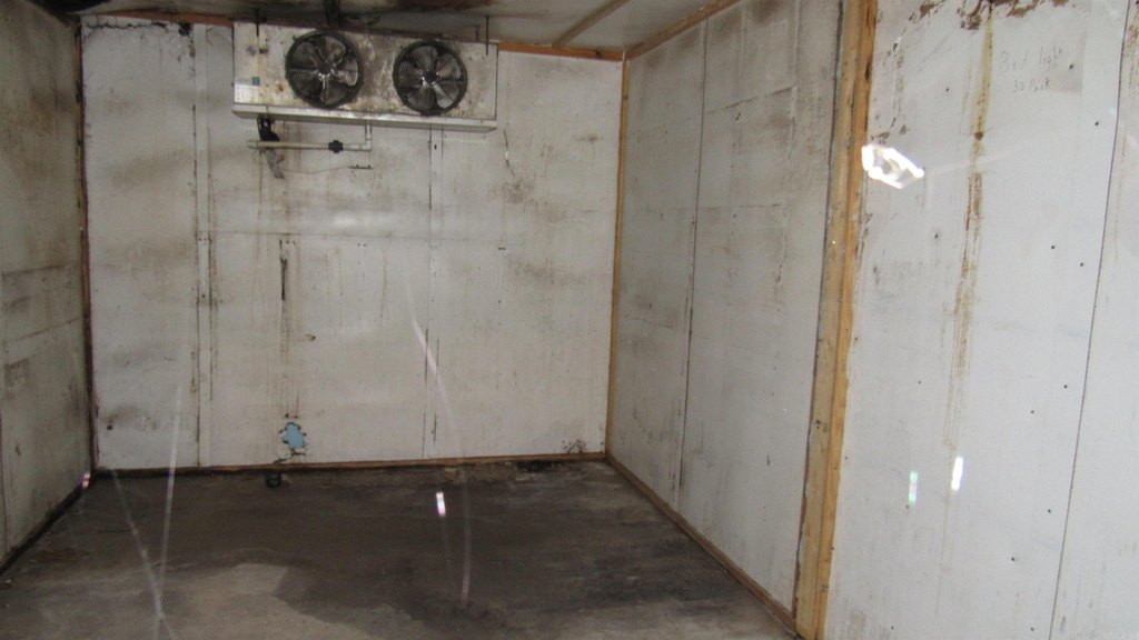 Picture 17