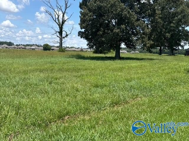77 Acres in Toney, Alabama