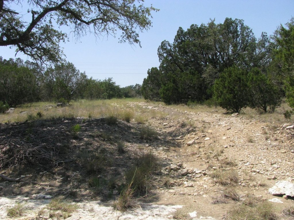 Picture 9