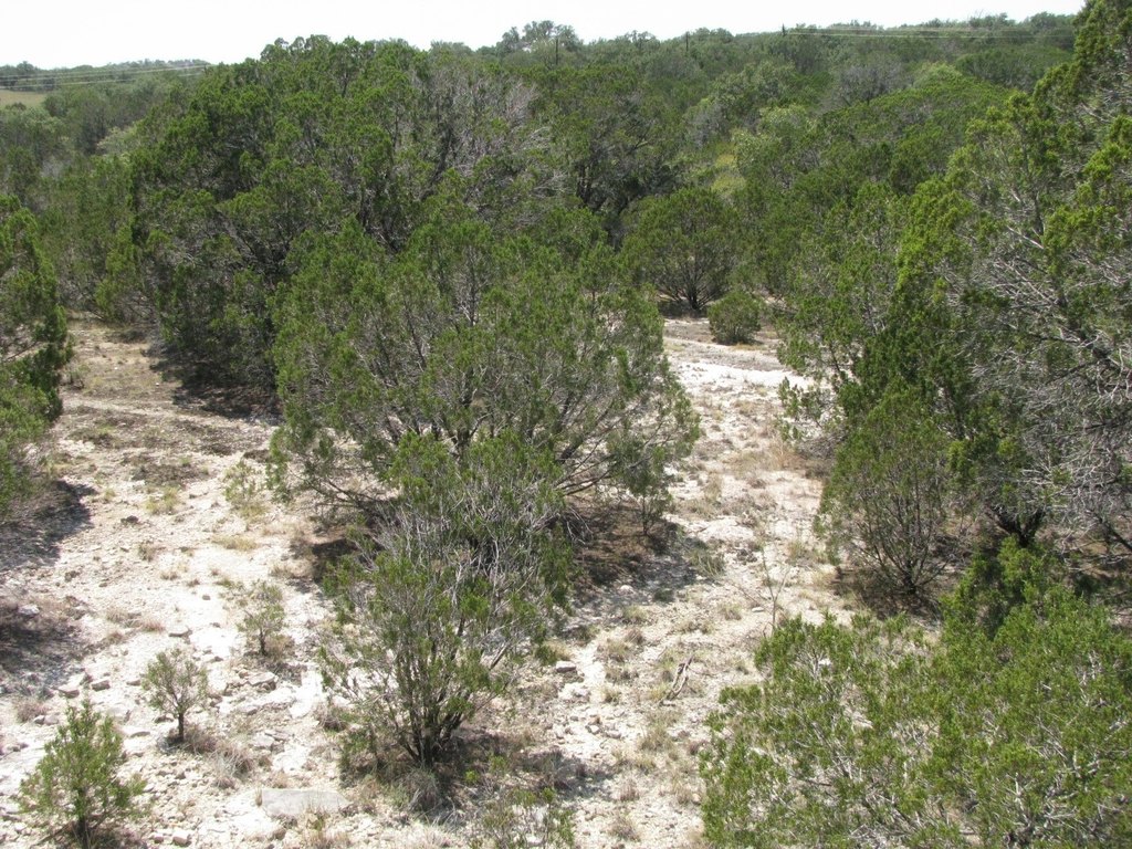 Picture 14