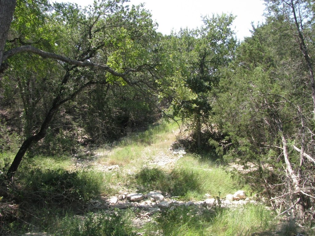 Picture 13